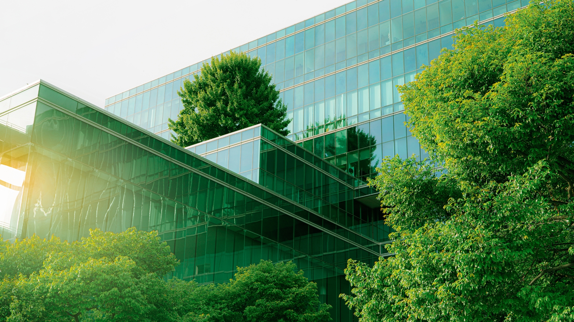 Investissement ISR, vert, solidaire : comment s’y retrouver  ?