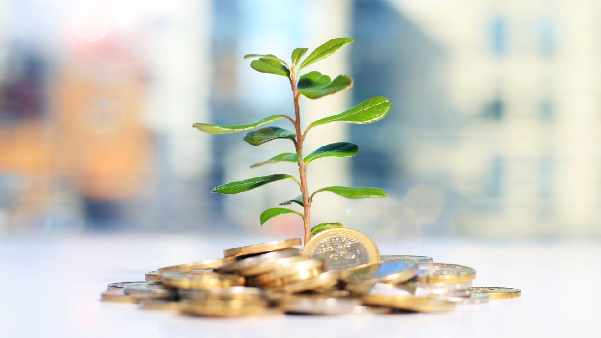 Vers quels petits investissements qui rapportent se tourner en 2025 ?