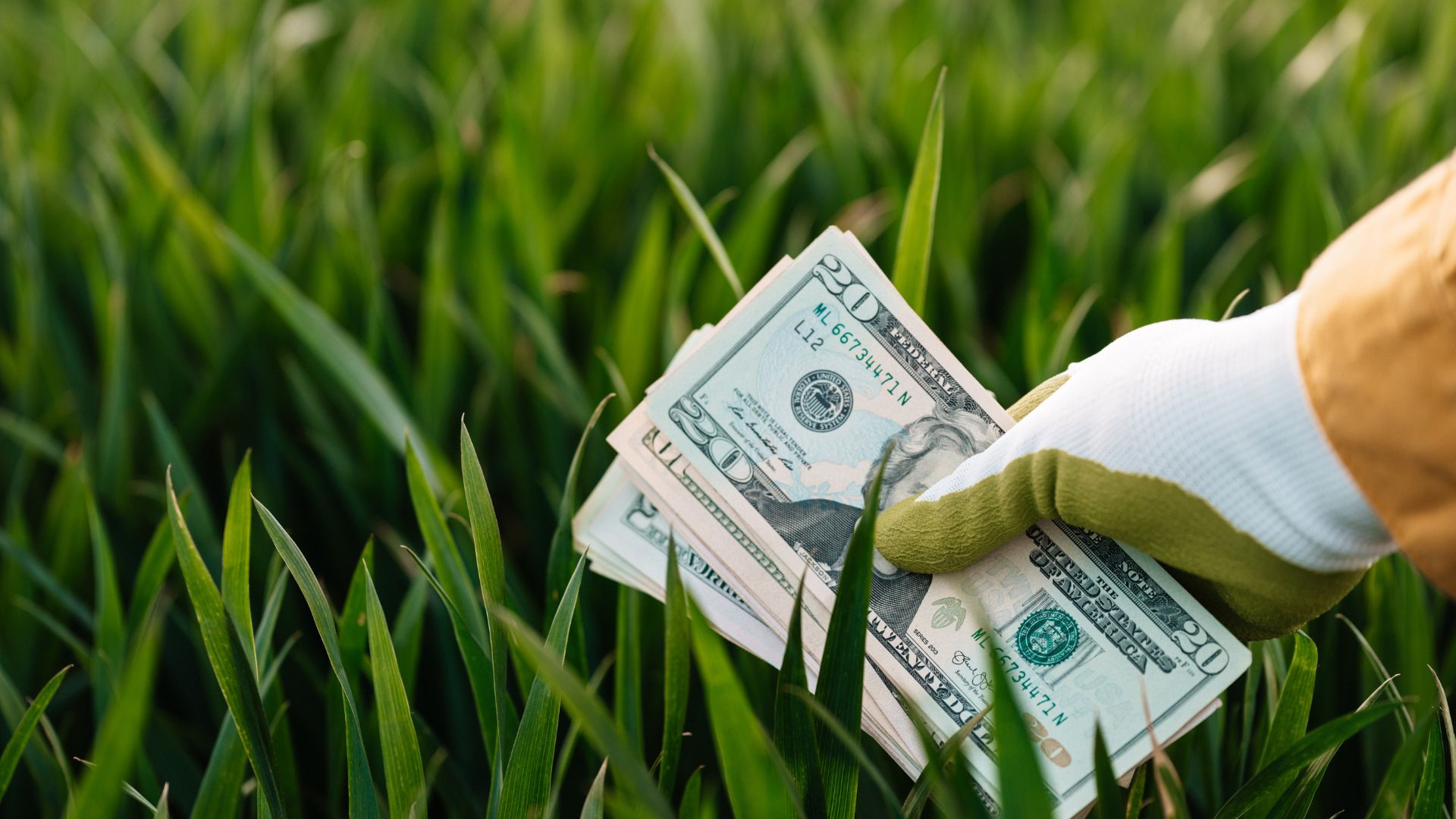 Green Bonds: When Finance Becomes a Lever for Sustainable Transition