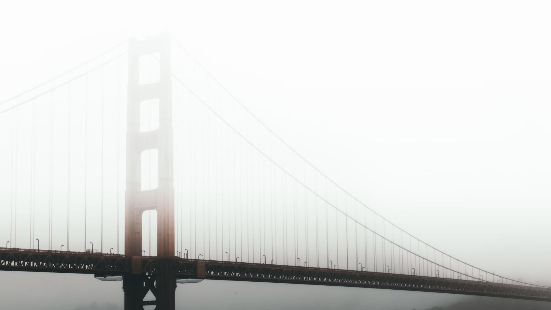 Zoom on Bridge EV – EqV