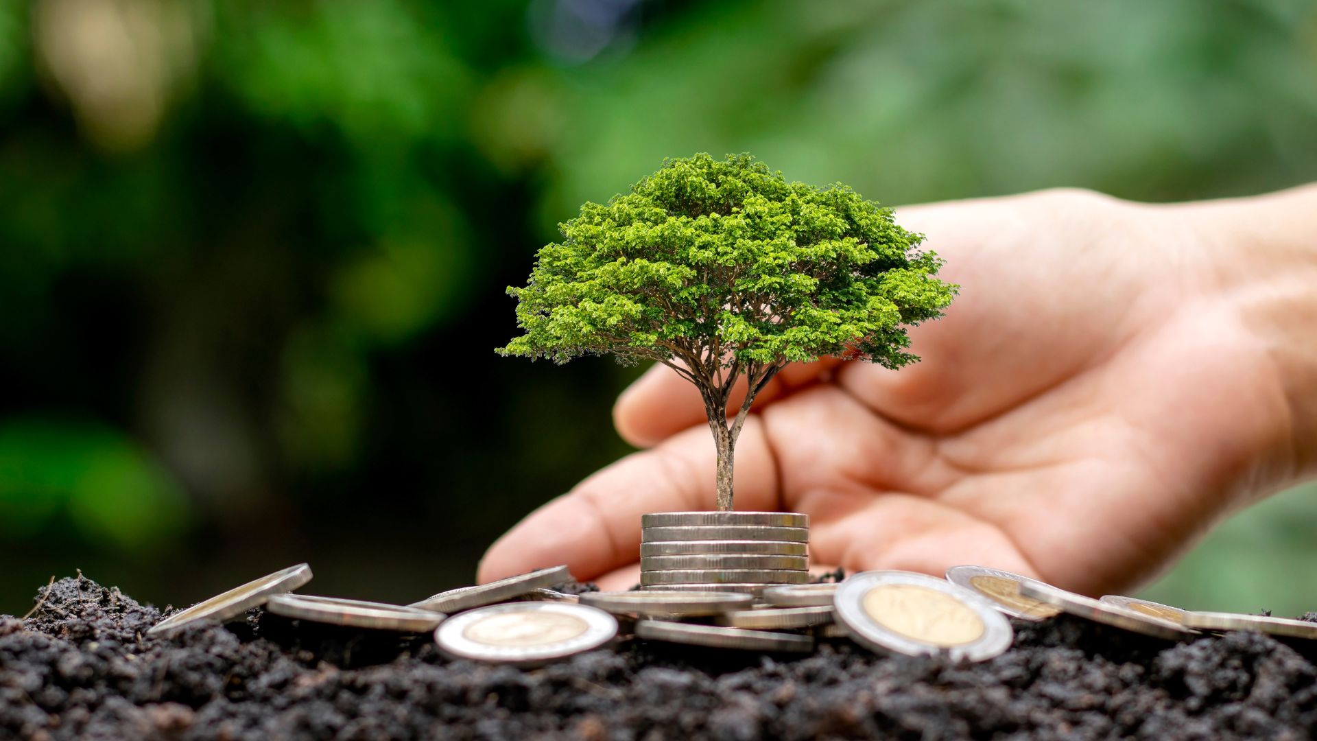 Green finance: a key driver of ecological transition