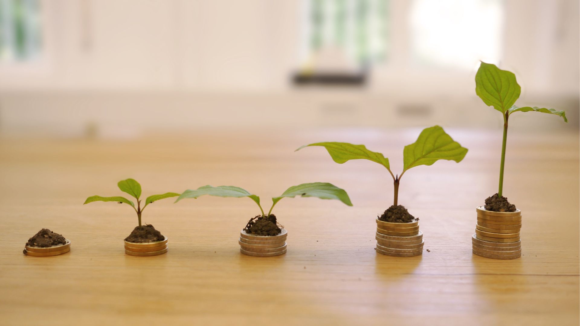 La finance durable : une révolution qui transforme les métiers de la finance