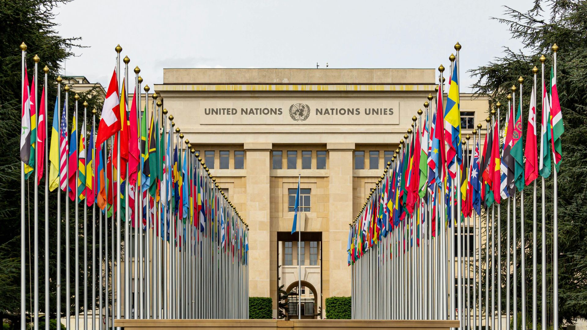 Les carrières financières dans les organisations internationales : ONU, FMI, Banque mondiale