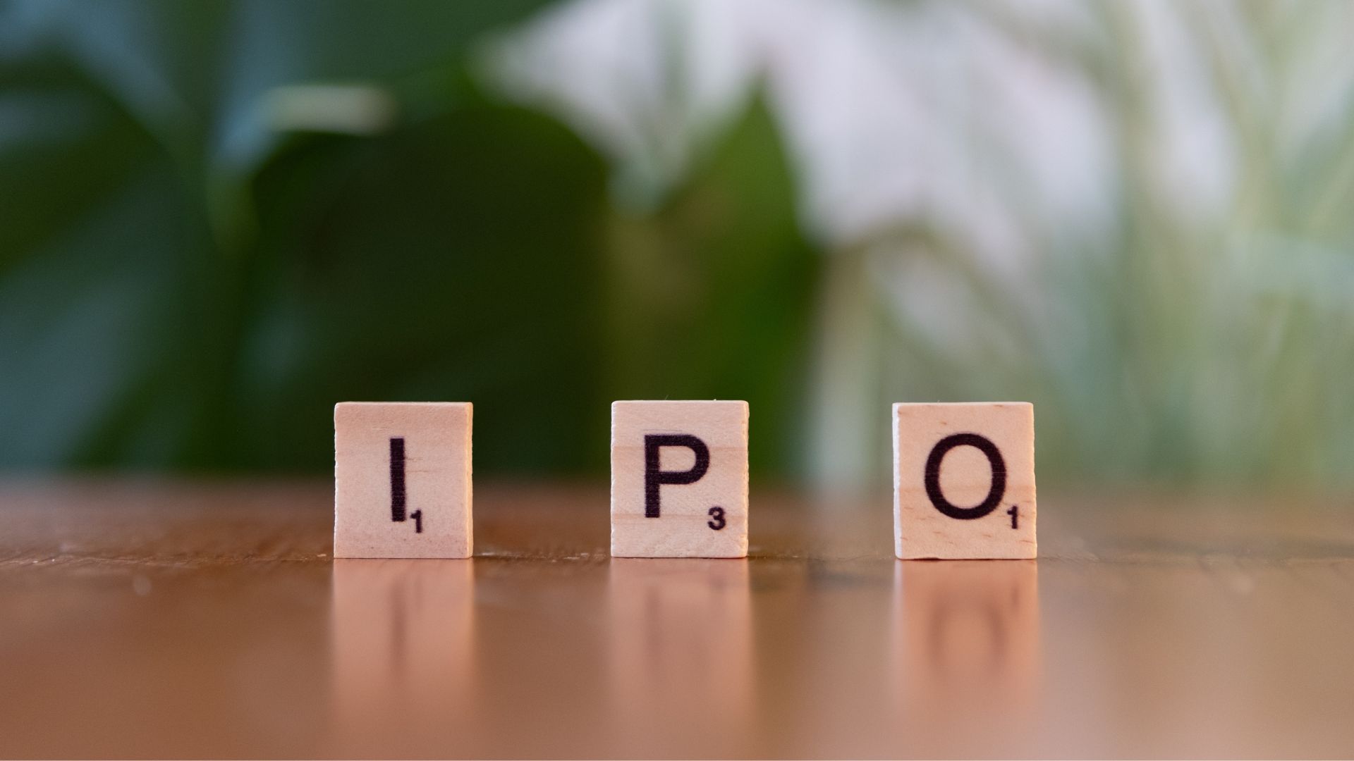 Why are some IPOs successes… and others disappointments?