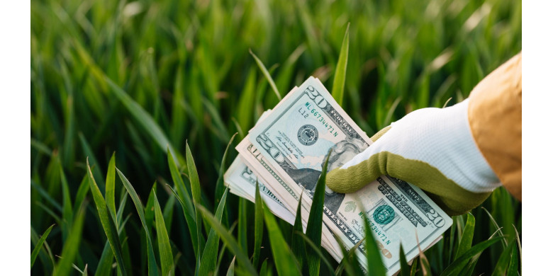 Green Bonds : quand la finance devient un levier pour la transition durable